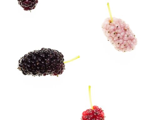 Mulberry berry on a white background. macroの写真素材