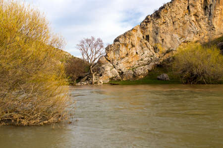 River in the mountains in the nature .の写真素材