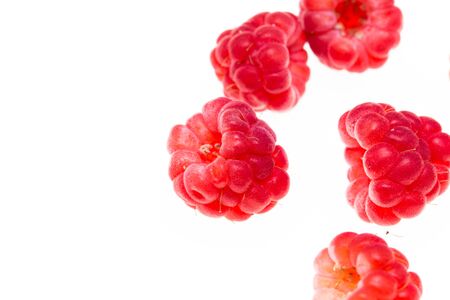Juicy red berry raspberries on a white backgroundの写真素材