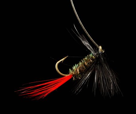 fly to catch fish on a black background .
