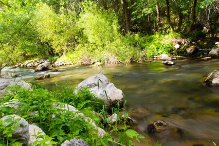 Water in a creek in the nature .