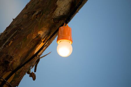The bulb burns on a wooden pole .の写真素材