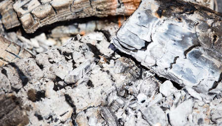 Burning coal from wood as a background .