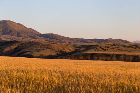 Beautiful mountains of the Tien Shan range in Kazakhstan .の写真素材