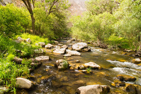 Water in a creek in the nature .の写真素材