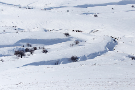 White snow in the steppes of Kazakhstan as a background .の写真素材