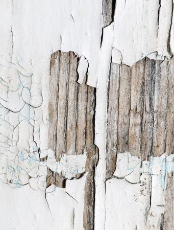 Old wooden background with white chapped paint .の写真素材
