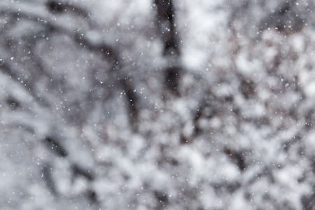 snow in the air as a background .の写真素材