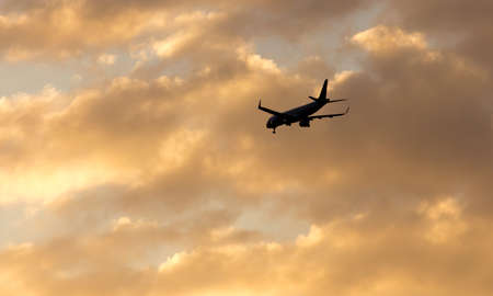 The plane is landing at the yellow sunsetの写真素材