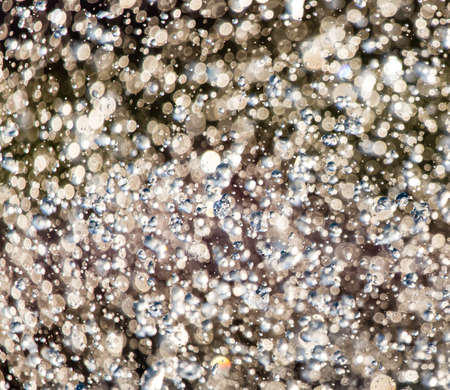 Abstract background of drops of water on the fly .の写真素材