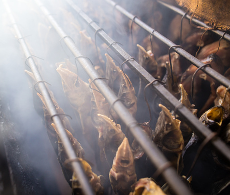 Fresh fish smoke in the smoking house in smoke