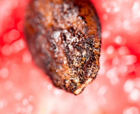 Seeds on a red watermelon. Super macroの写真素材