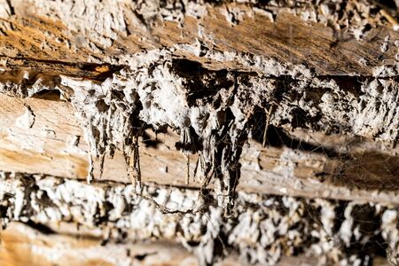 Abstract wooden background with drenched concrete. textureの写真素材