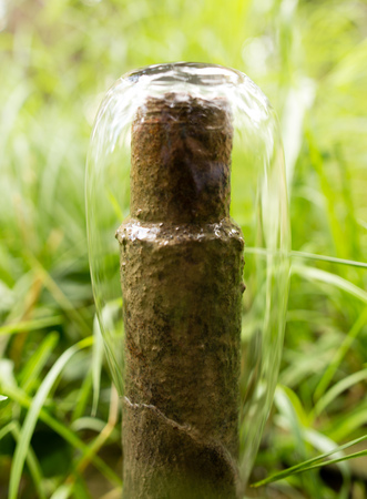 Water pipe for watering in the park .