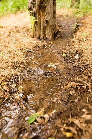 Small creek in the ground in the nature .