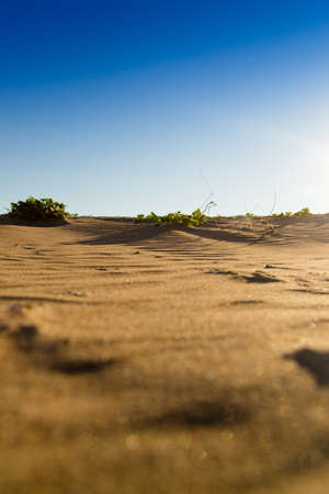 Landscape with sand in the desert as a background .の写真素材