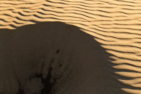 Sand in the desert as a backgroundの写真素材