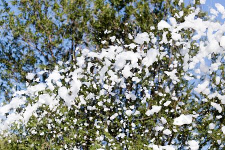 White foam at the festival as a backgroundの写真素材