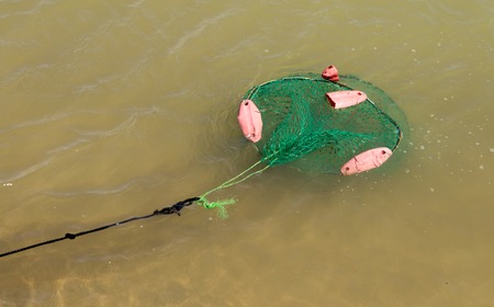Bag of fish on the river bankの写真素材