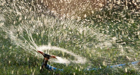 Splashing water from a hose on the lawnの写真素材