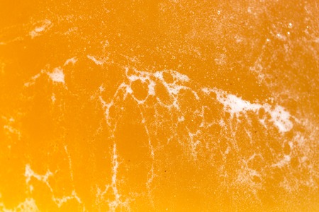 yellow bee honey with bubbles as background