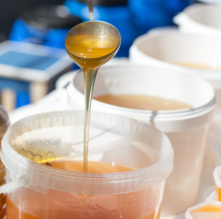 the beekeeper sells honey in the marketの写真素材