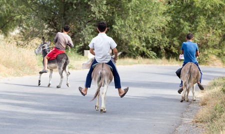 three boys on a donkey rides on the roadの写真素材