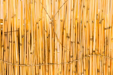 Reed tied in a fence as a backgroundの写真素材