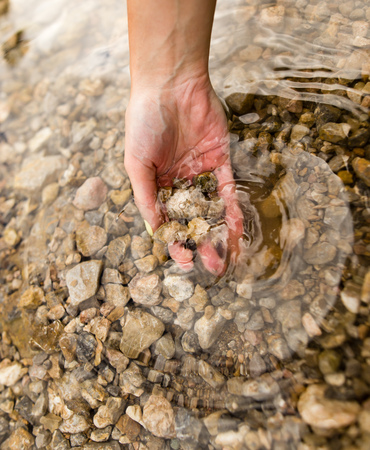 Small stones in the hand on the pondの写真素材