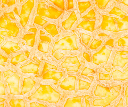 peel from the melon as a background