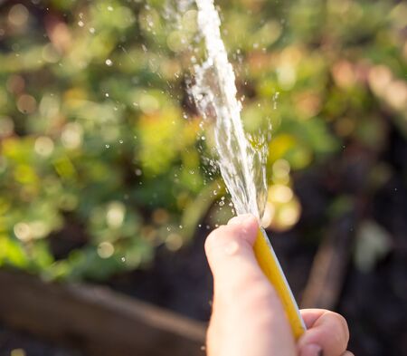 splashing water from a hose in the gardenの写真素材