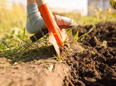 a woman digs a garden with a shovel .