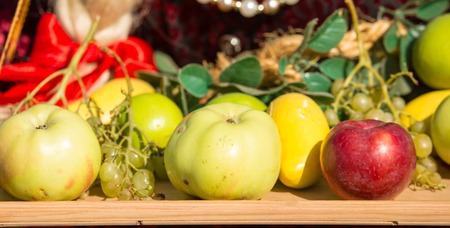 harvest of ripe apples in the fall in nature .の写真素材