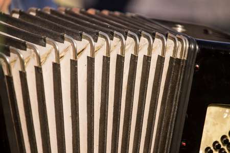 musician playing at old harmony in parkの写真素材