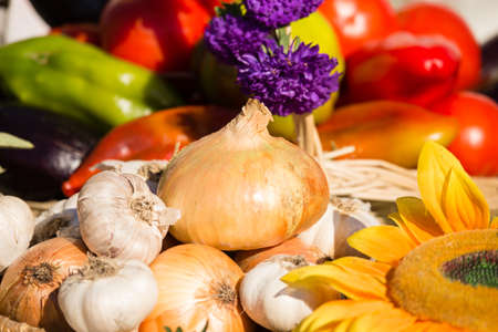 the harvest of different vegetables in the fall in natureの写真素材