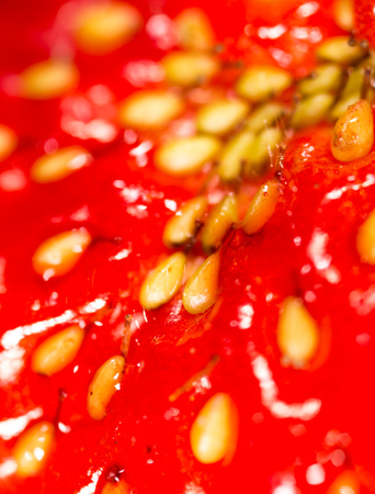 Red ripe strawberry berry as background. macroの写真素材