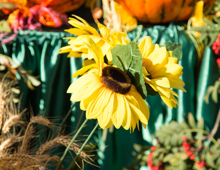 artificial yellow sunflower flower in the nature .の写真素材