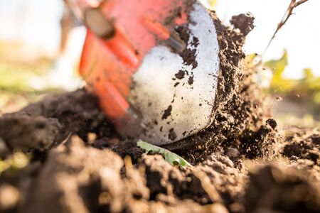 a woman digs a garden with a shovel .