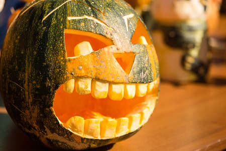 Pumpkin harvest in the garden in the natureの写真素材