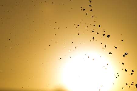drops of water on the golden sunset .の写真素材