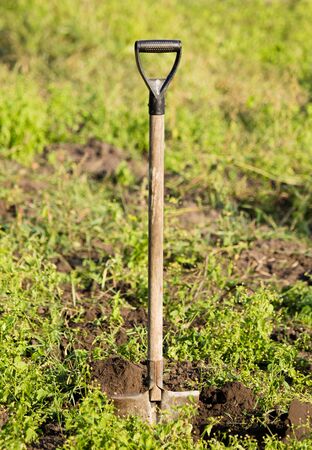 shovel in the soil in the garden .の写真素材
