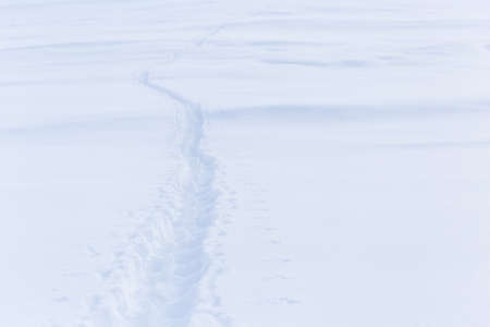 climbers trail in the snow as a backgroundの写真素材