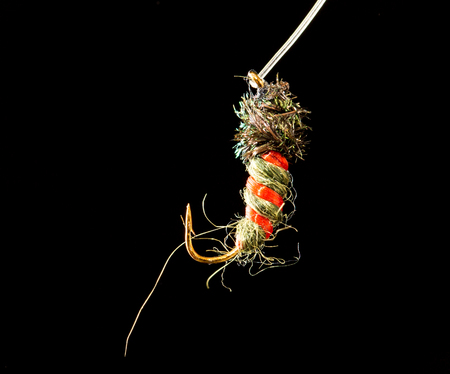fly to catch fish on a black background .