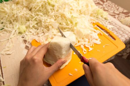 salting cabbage at home in the kitchen .の写真素材