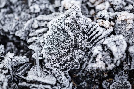 icy cold on black coals as background .の写真素材