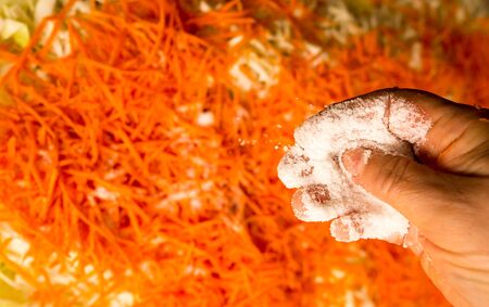 salting cabbage at home in the kitchen .の写真素材