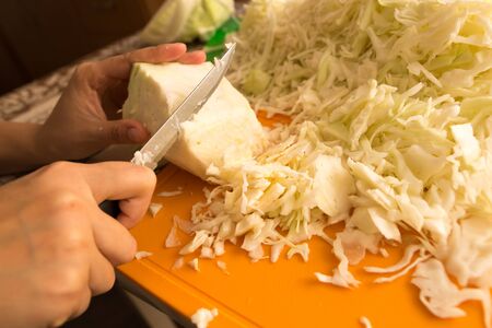 salting cabbage at home in the kitchen .の写真素材