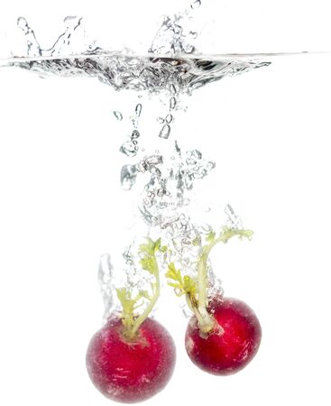 radish in water isolated on white background .の写真素材