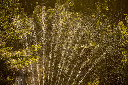 Splashes of water in the garden at sunset .