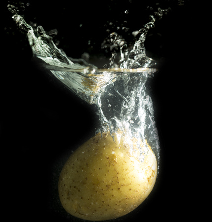 potato in water with splashes on a black background .の写真素材